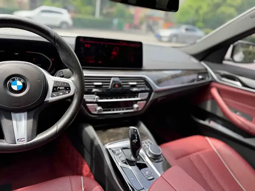 BMW 5 Series 2022 из CN, фото 10