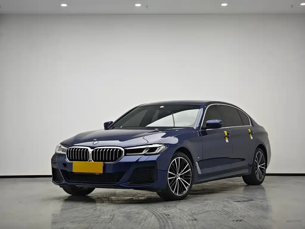 BMW 5 Series 2021 из CN, фото 1