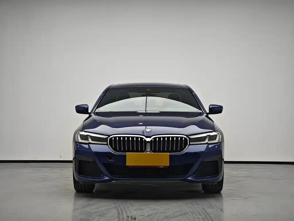 BMW 5 Series 2021 из CN, фото 10