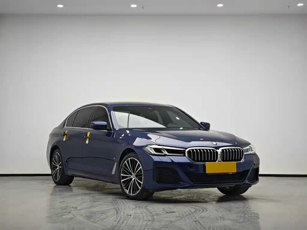BMW 5 Series 2021 из CN, фото 6