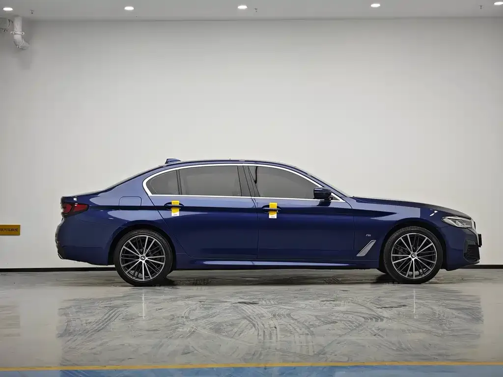 BMW 5 Series 2021 из CN, фото 4