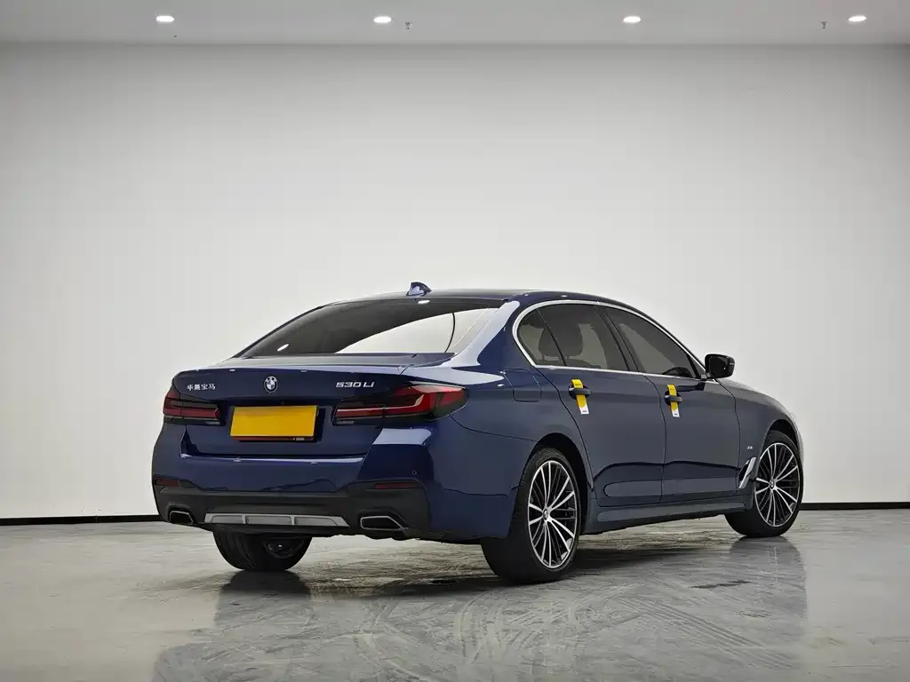 BMW 5 Series 2021 из CN, фото 3