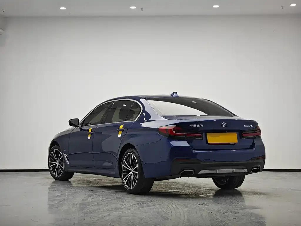 BMW 5 Series 2021 из CN, фото 5