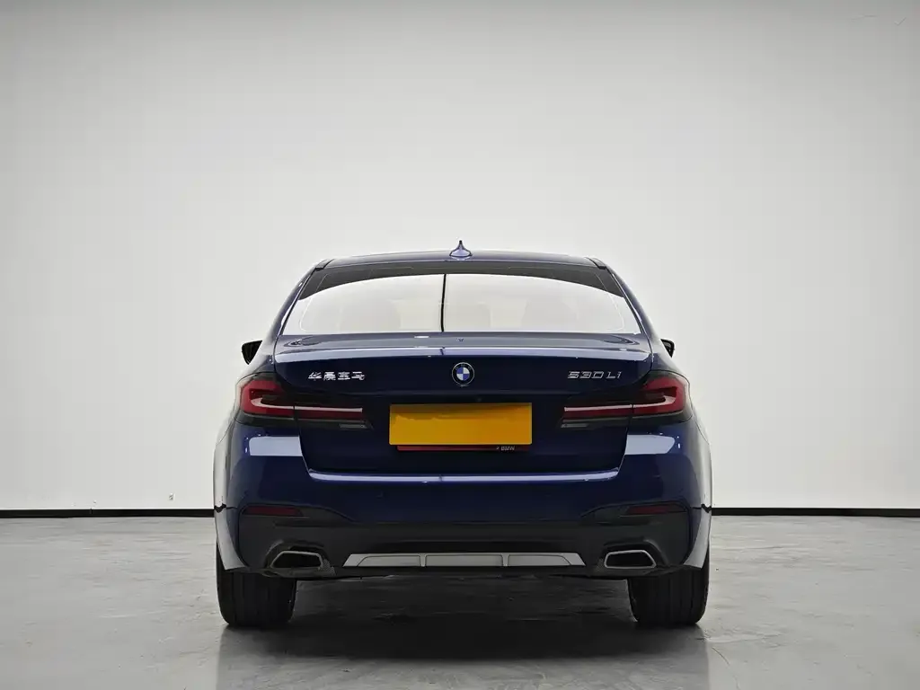BMW 5 Series 2021 из CN, фото 2