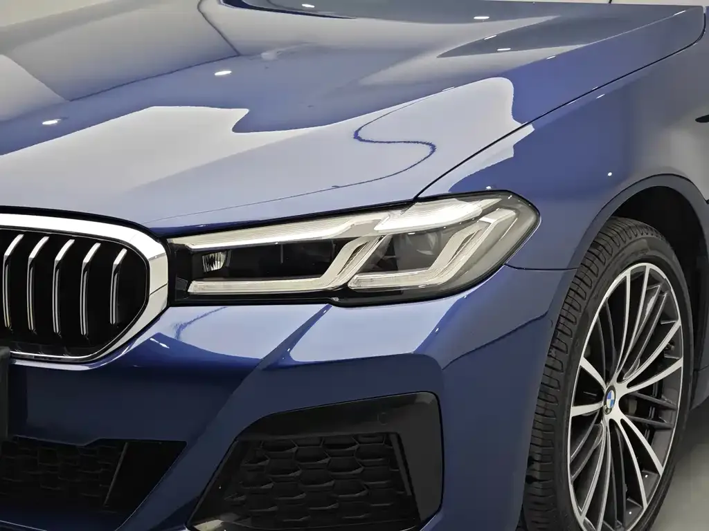 BMW 5 Series 2021 из CN, фото 7