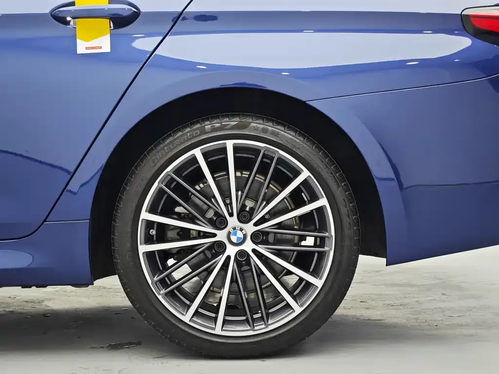 BMW 5 Series 2021 из CN, фото 8