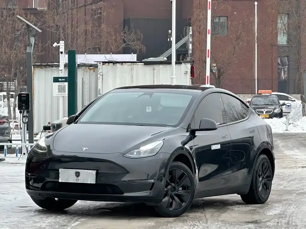 Tesla Model Y 2024 из CN, фото 1