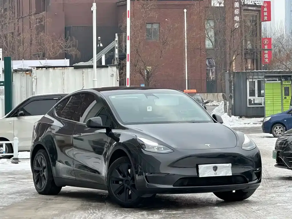 Tesla Model Y 2024 из CN, фото 3
