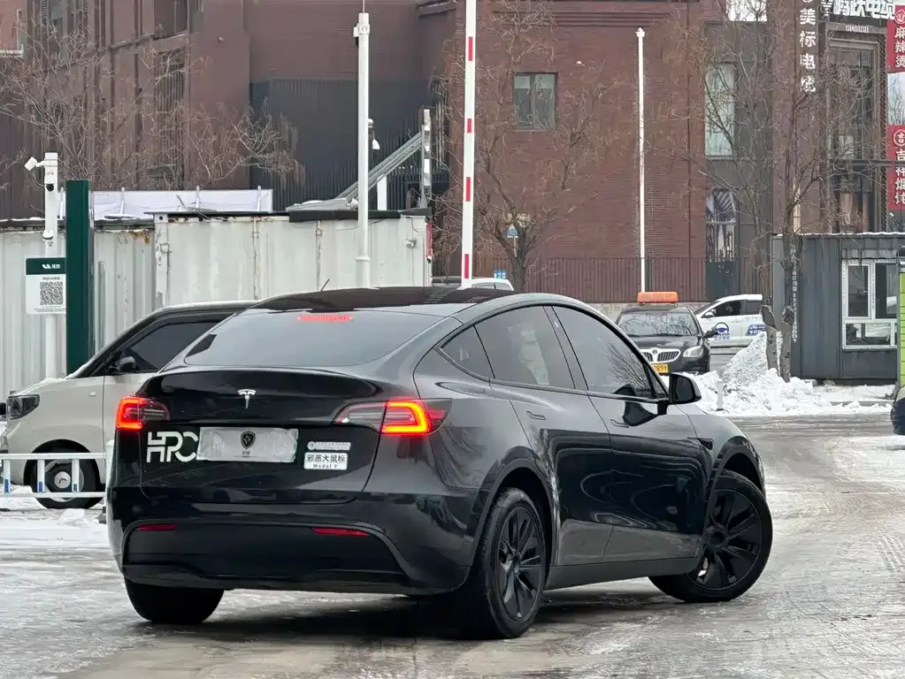 Tesla Model Y 2024 из CN, фото 6