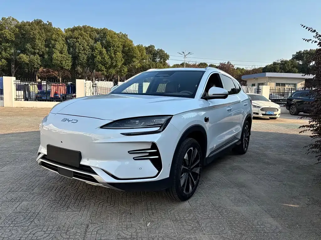 BYD PLUS New Energy 2025 из CN, фото 1