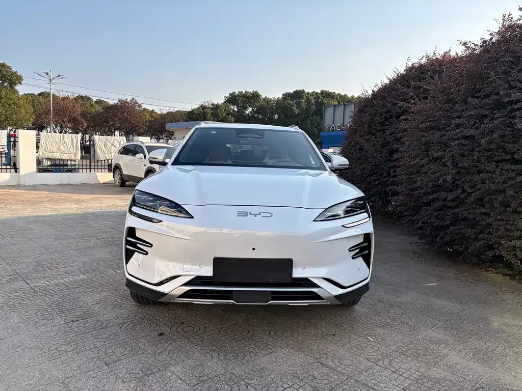 BYD PLUS New Energy 2025 из CN, фото 9