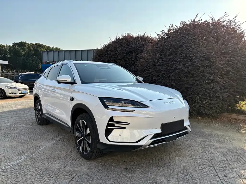 BYD PLUS New Energy 2025 из CN, фото 6