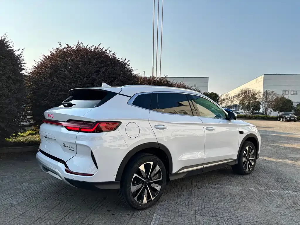 BYD PLUS New Energy 2025 из CN, фото 4
