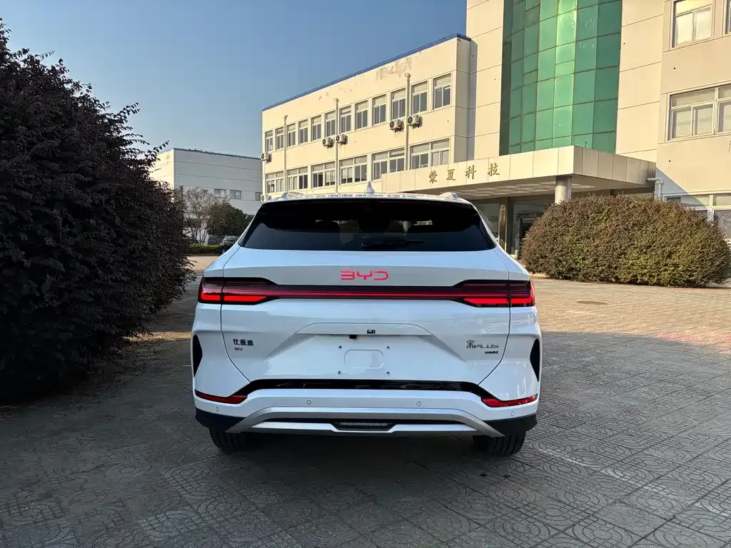 BYD PLUS New Energy 2025 из CN, фото 5