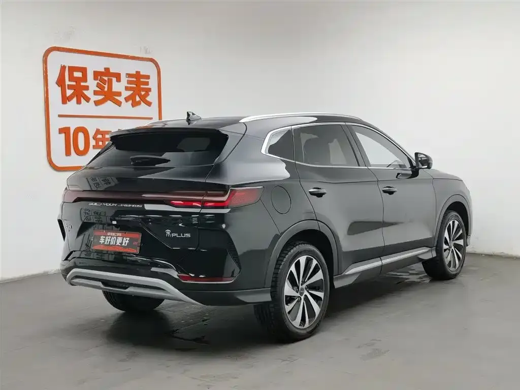 BYD PLUS New Energy 2024 из CN, фото 2