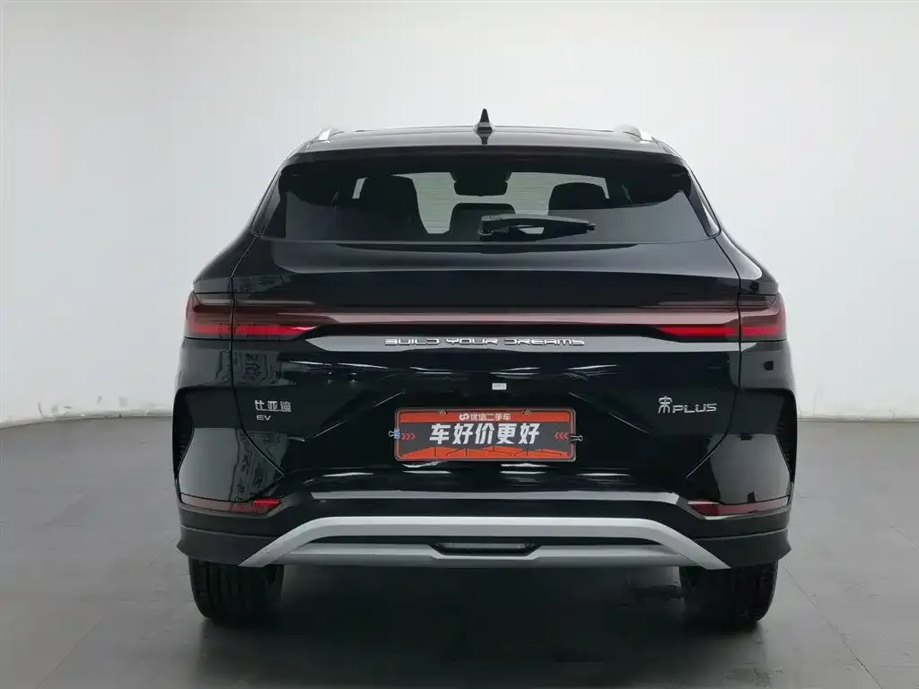 BYD PLUS New Energy 2024 из CN, фото 4