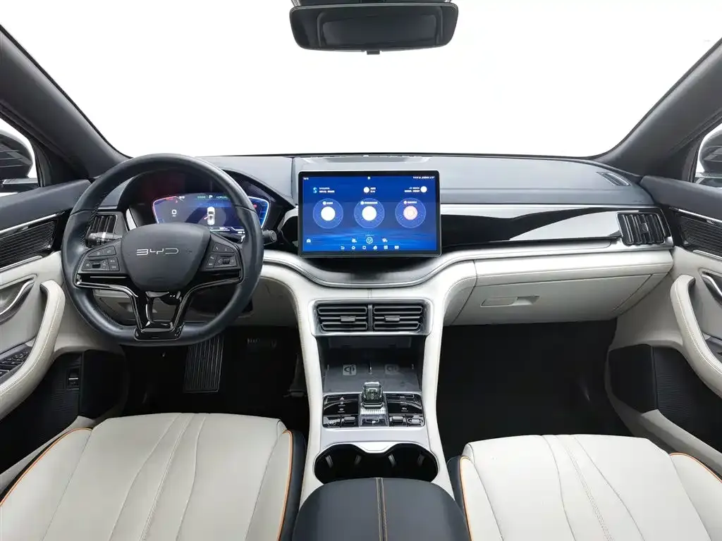 BYD PLUS New Energy 2024 из CN, фото 5