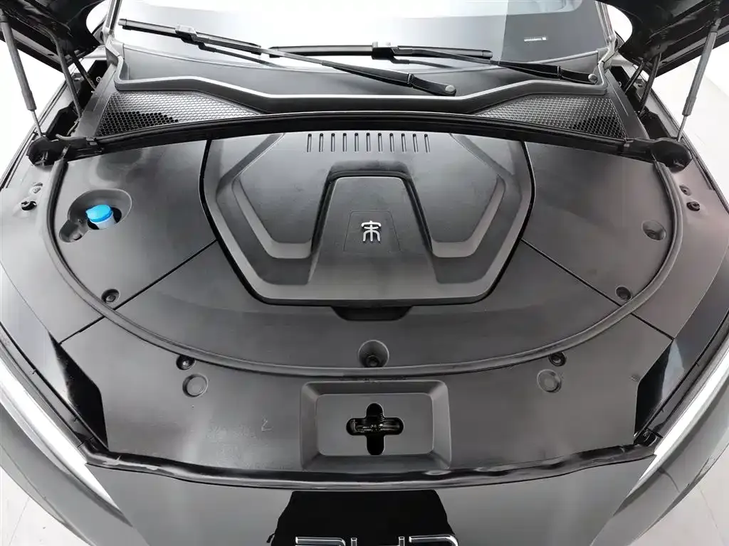 BYD PLUS New Energy 2024 из CN, фото 6