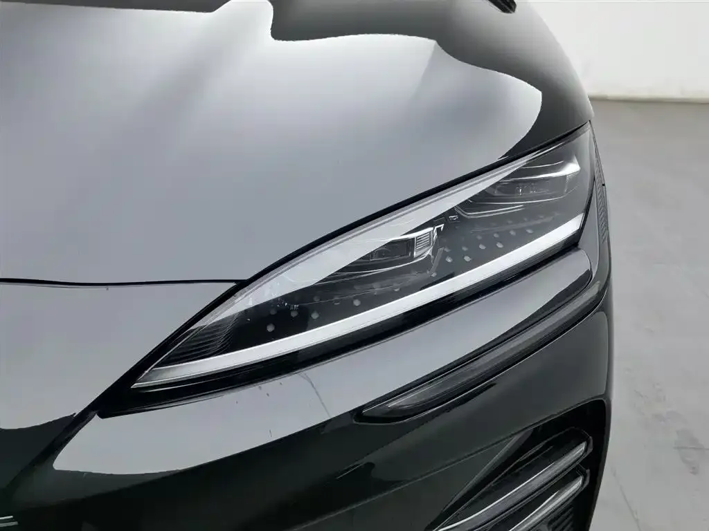 BYD PLUS New Energy 2024 из CN, фото 7