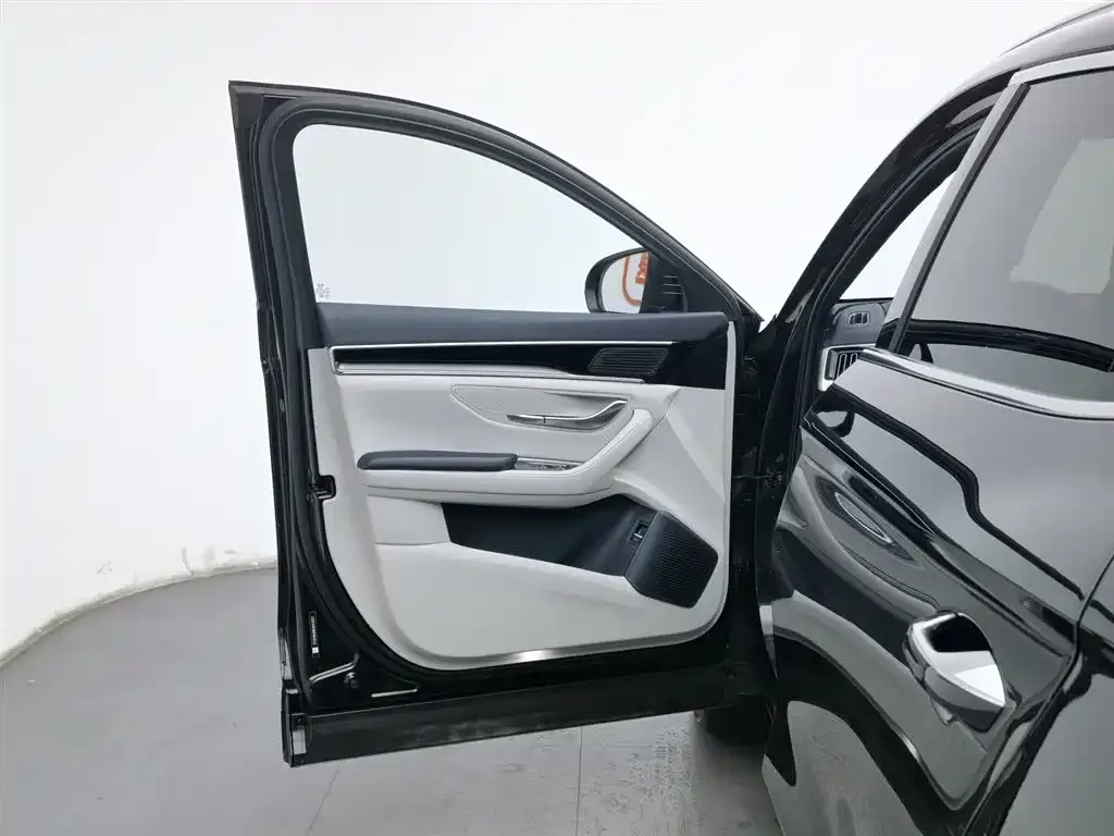 BYD PLUS New Energy 2024 из CN, фото 8