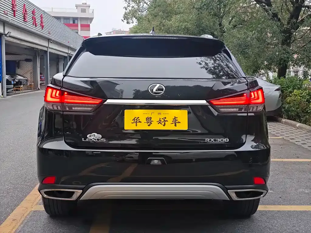 Lexus RX 2022 из CN, фото 8