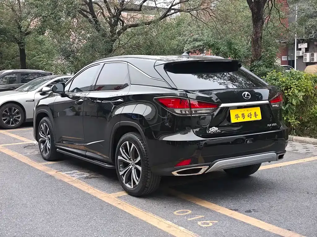 Lexus RX 2022 из CN, фото 10