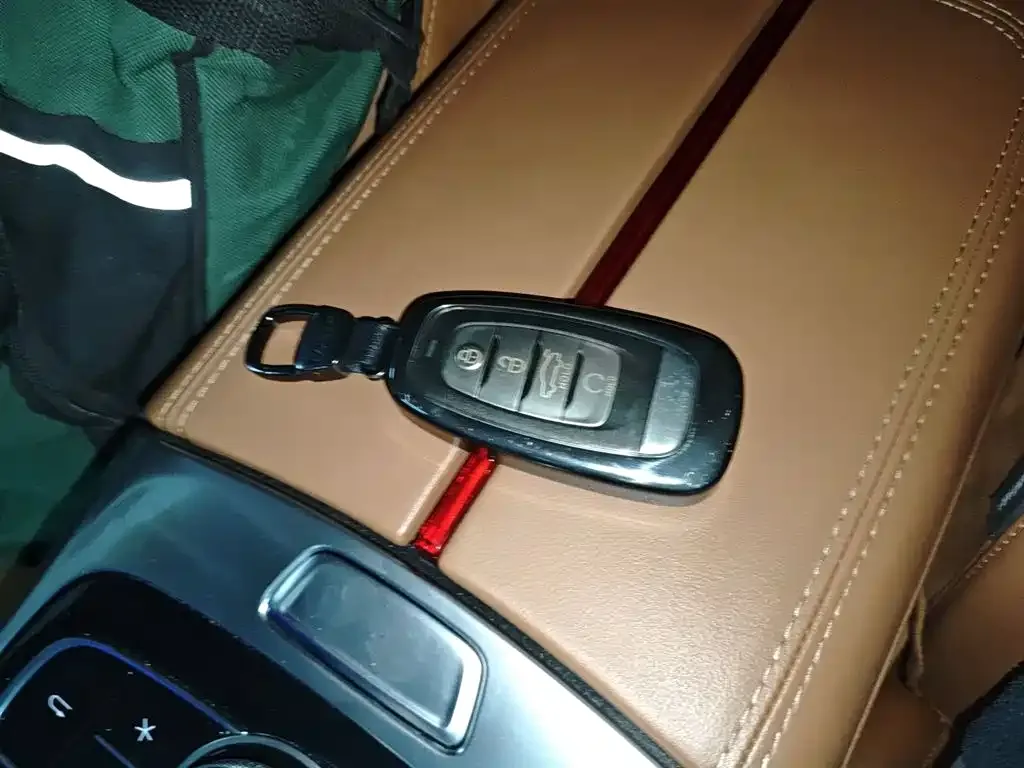 Hongqi H9 2021 из CN, фото 3