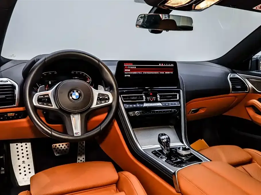 BMW 8 Series 2023 из CN, фото 8