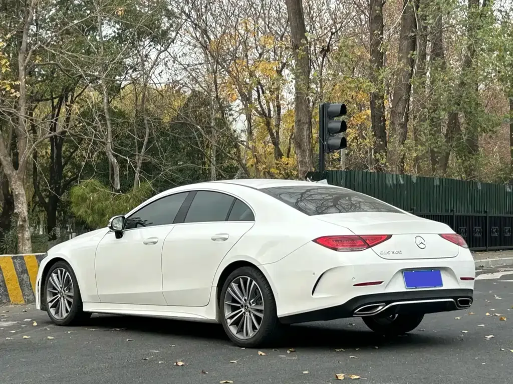 Mercedes-Benz CLS 2022 из CN, фото 4