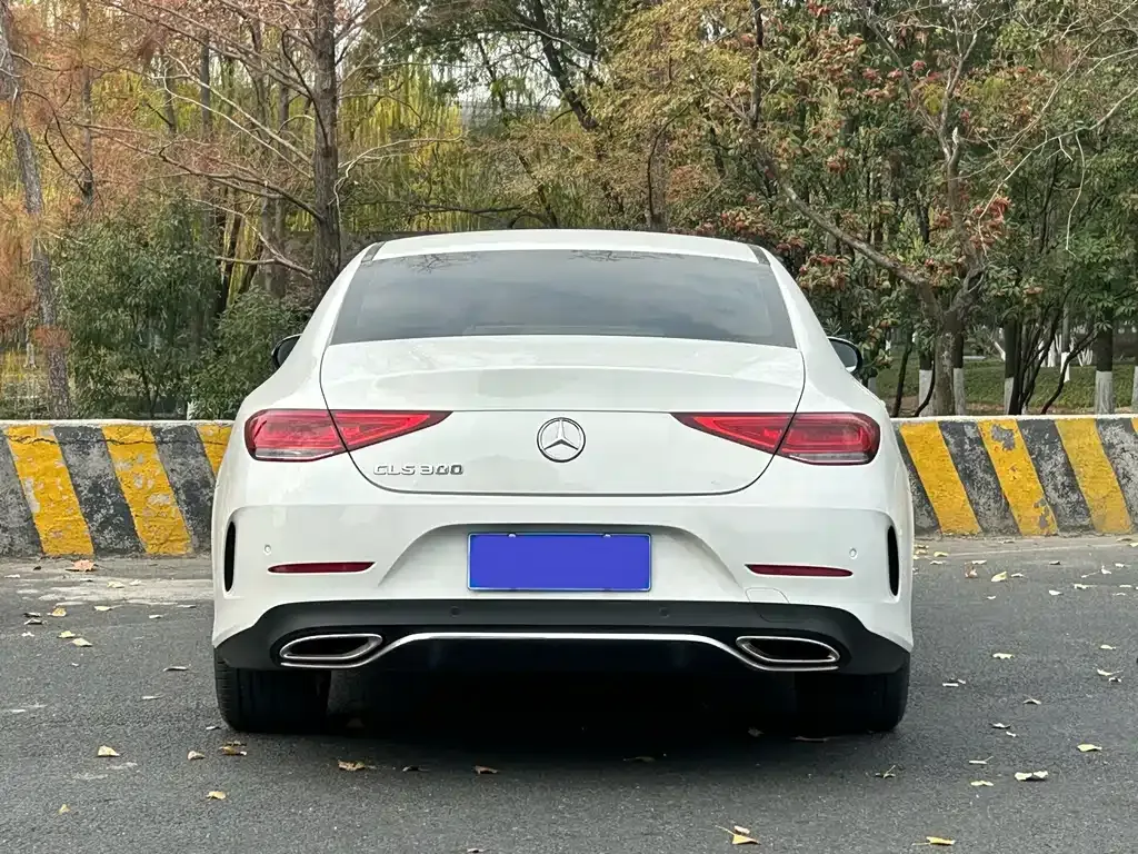 Mercedes-Benz CLS 2022 из CN, фото 8