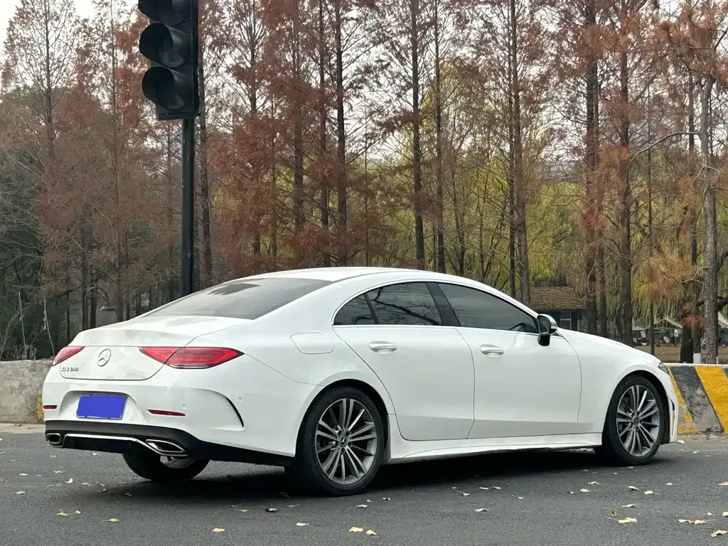Mercedes-Benz CLS 2022 из CN, фото 5
