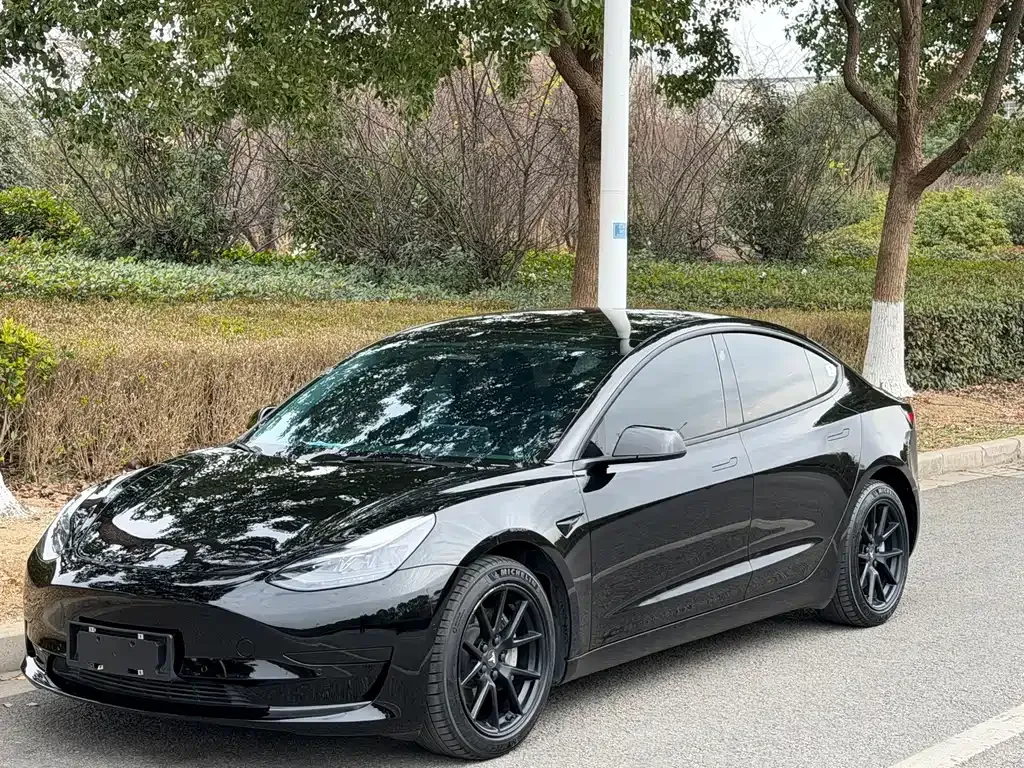 Tesla Model 3 2021 из CN, фото 1