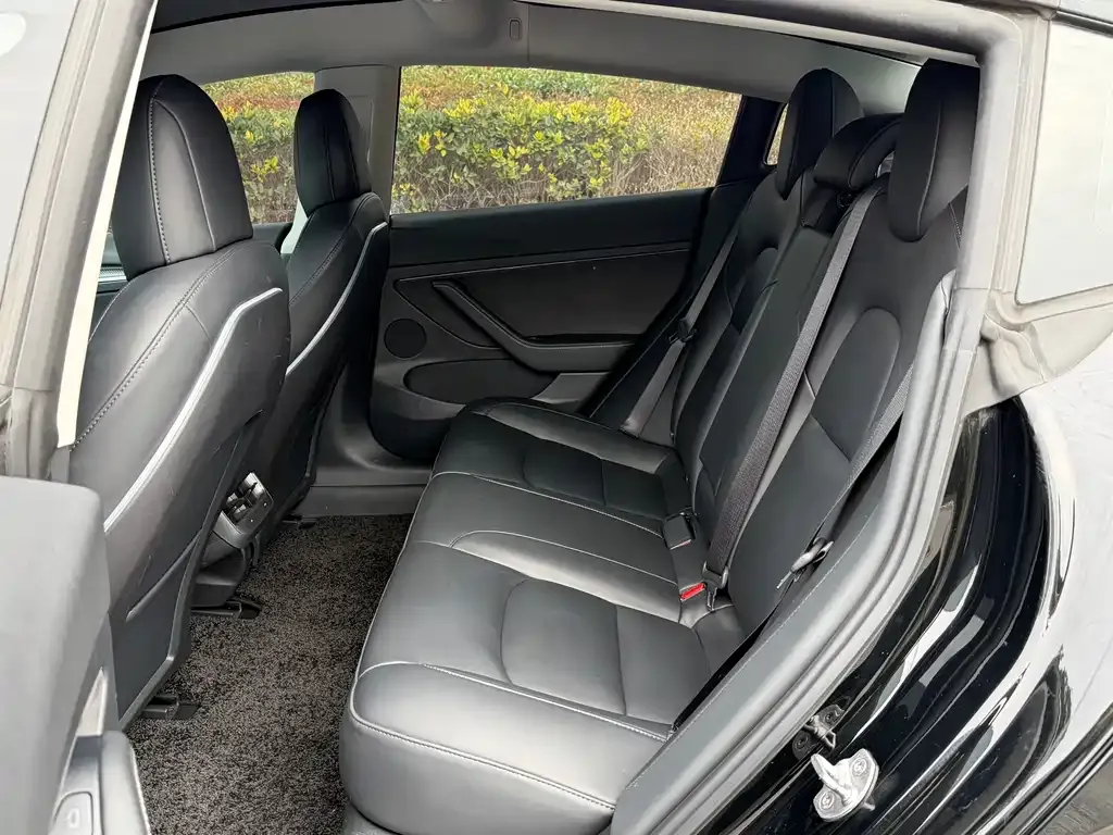 Tesla Model 3 2021 из CN, фото 4