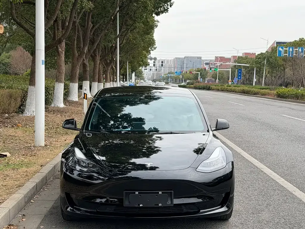 Tesla Model 3 2021 из CN, фото 6