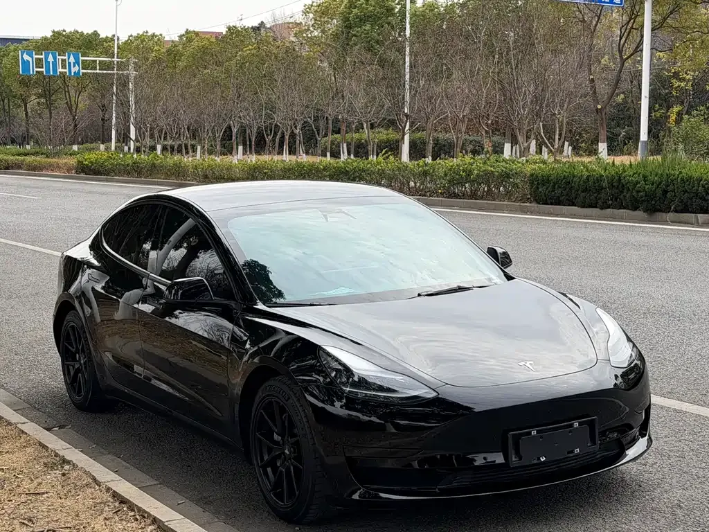 Tesla Model 3 2021 из CN, фото 7
