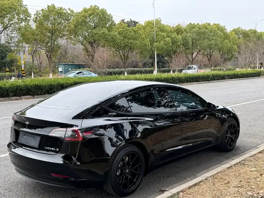 Tesla Model 3 2021 из CN, фото 9