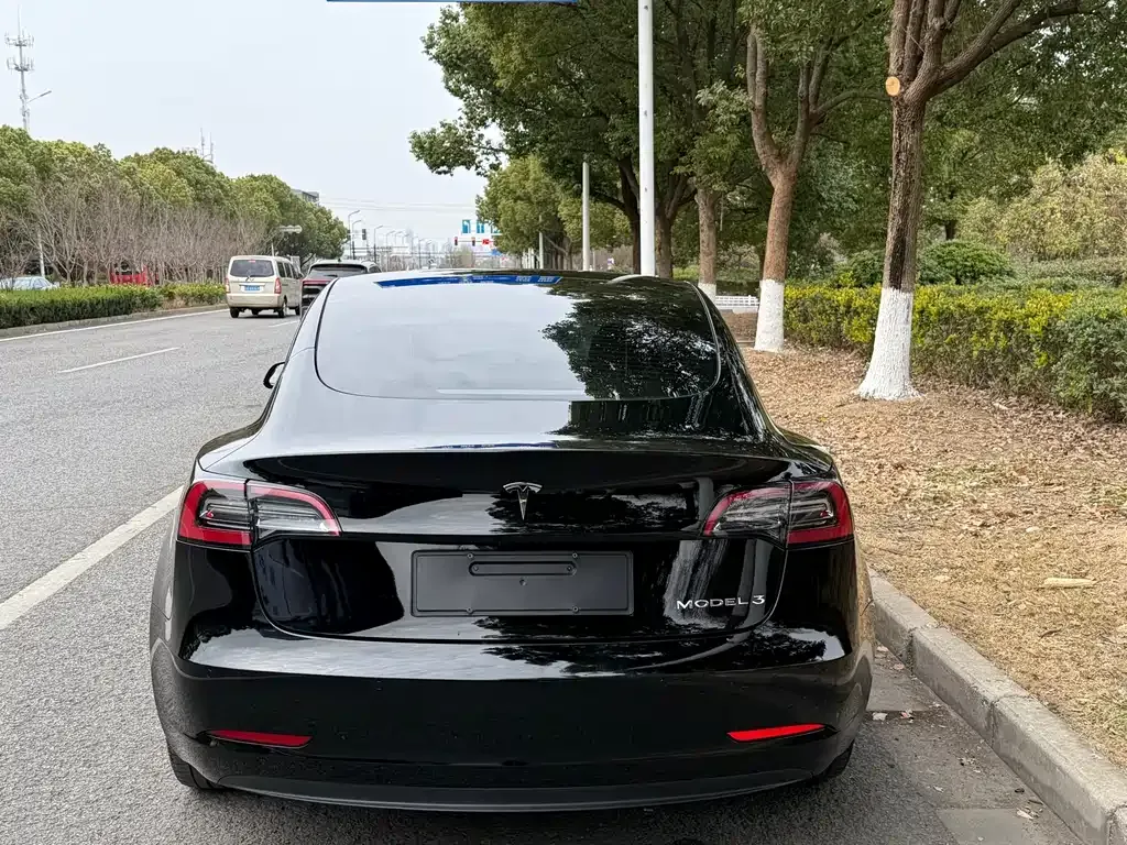 Tesla Model 3 2021 из CN, фото 8