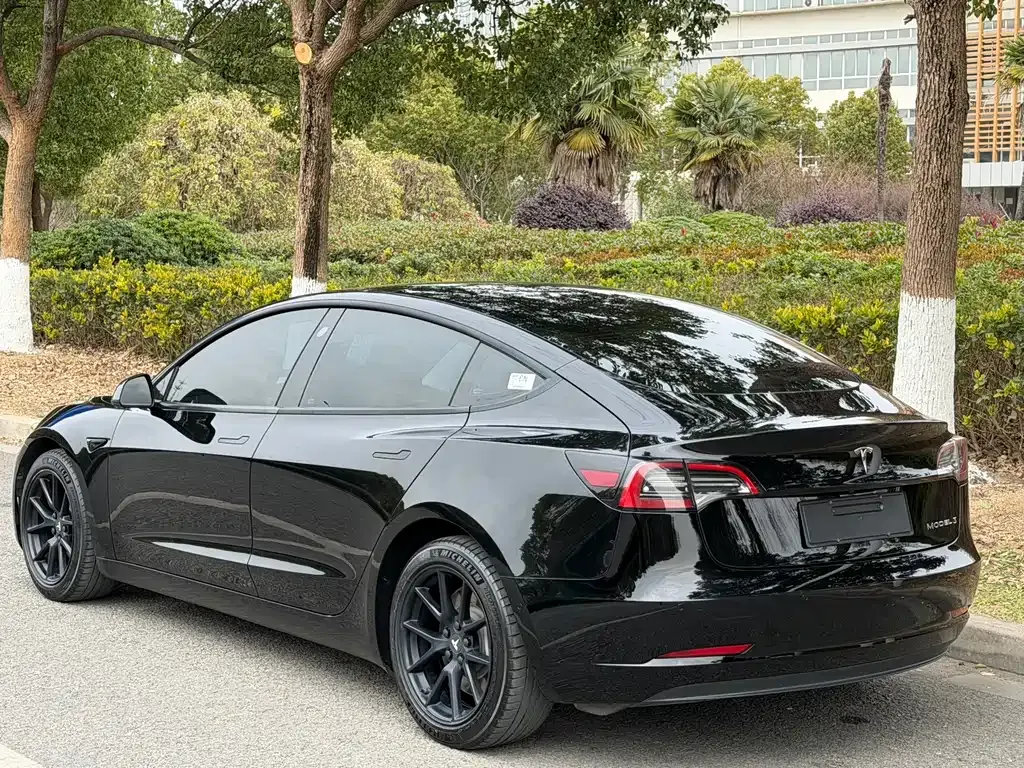 Tesla Model 3 2021 из CN, фото 5