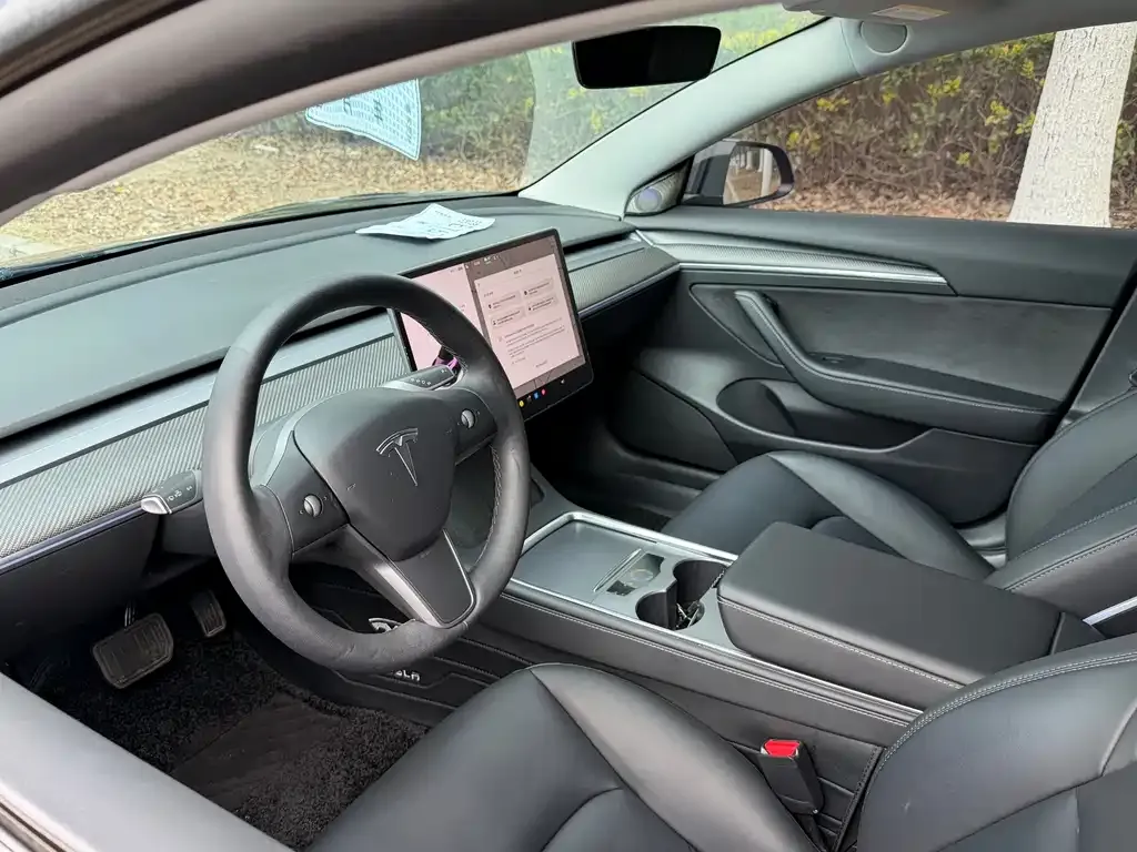 Tesla Model 3 2021 из CN, фото 3