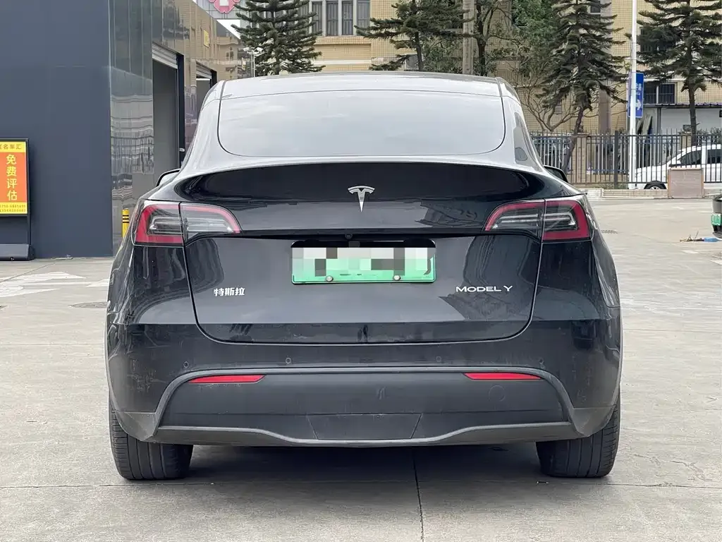 Tesla Model Y 2021 из CN, фото 6