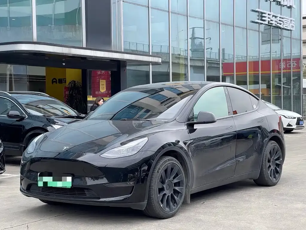 Tesla Model Y 2021 из CN, фото 7
