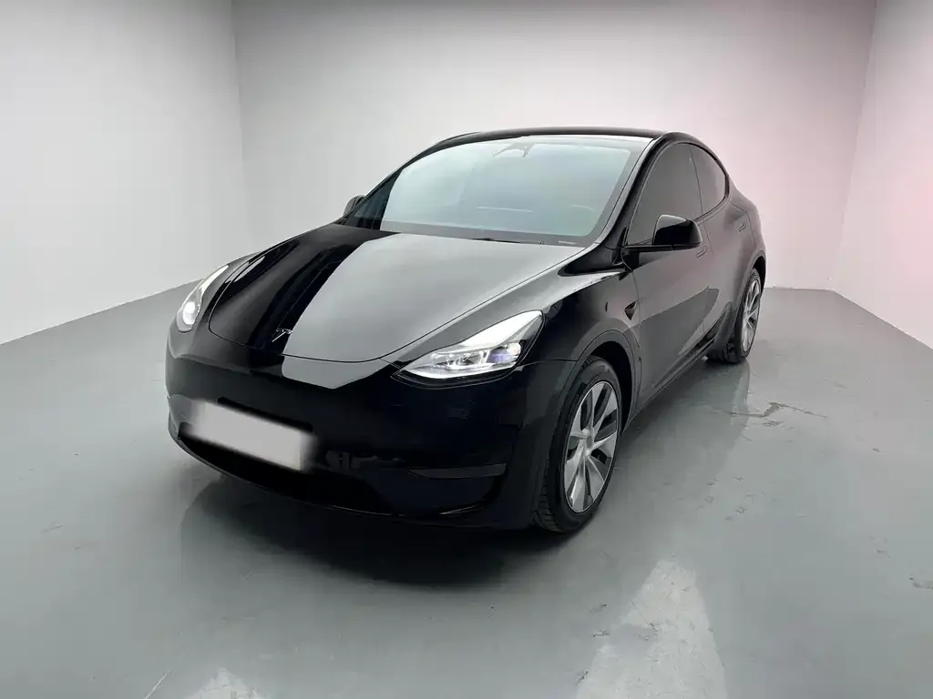 Tesla Model Y 2021 из CN, фото 1