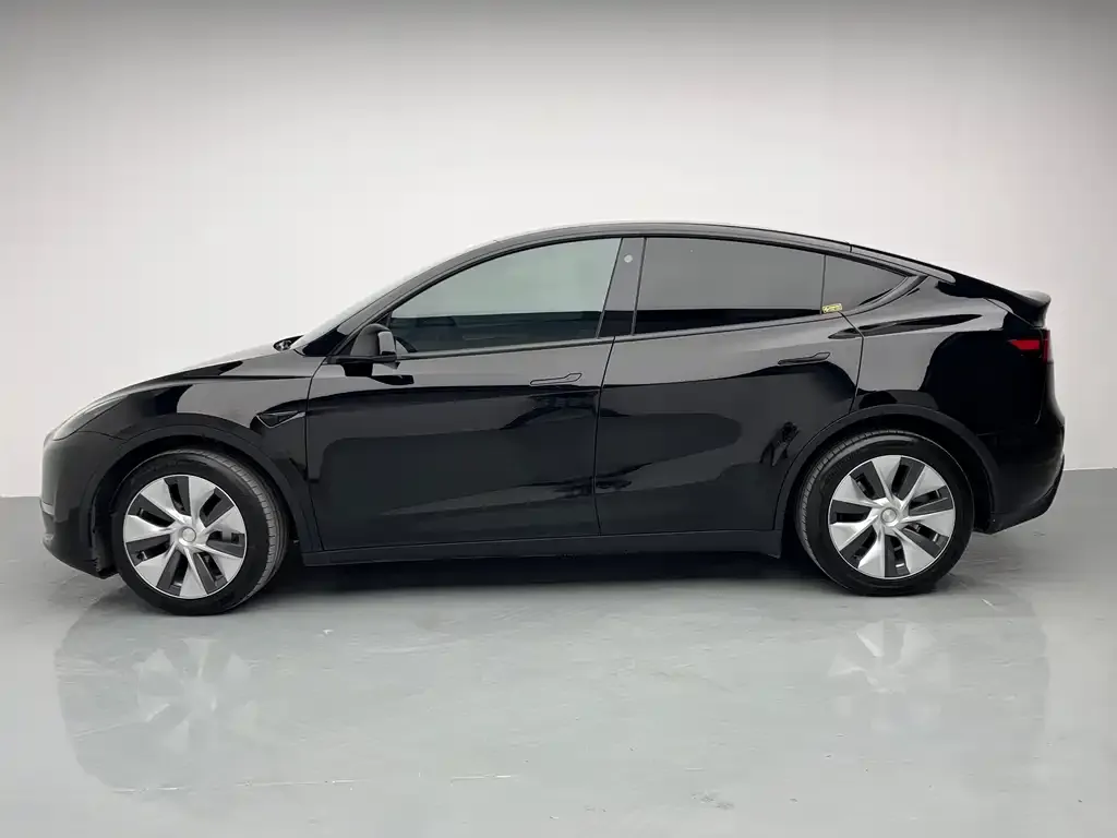 Tesla Model Y 2021 из CN, фото 3