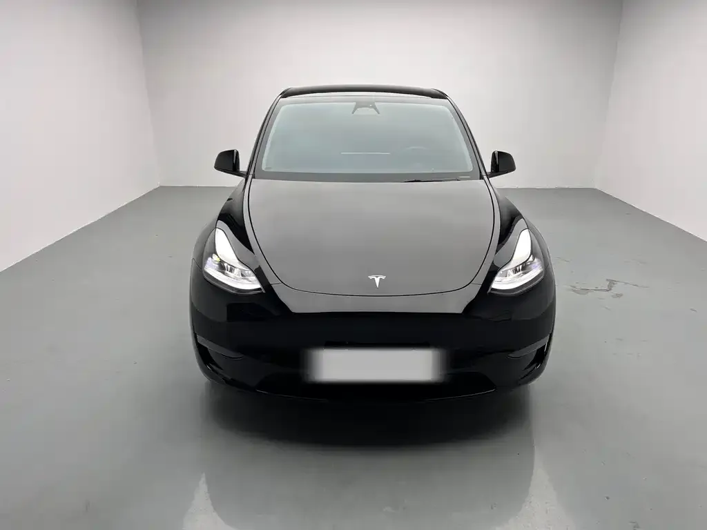 Tesla Model Y 2021 из CN, фото 8