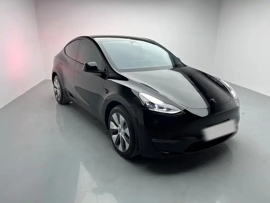 Tesla Model Y 2021 из CN, фото 2