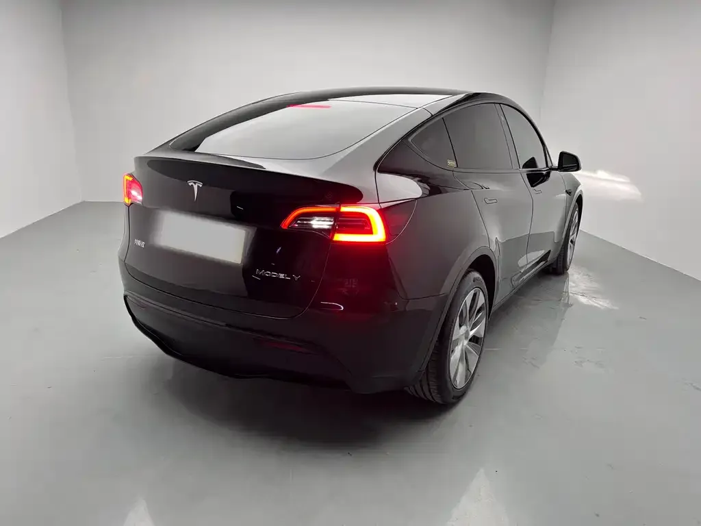 Tesla Model Y 2021 из CN, фото 10