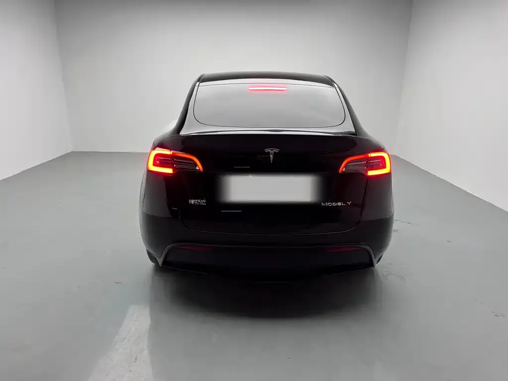 Tesla Model Y 2021 из CN, фото 4