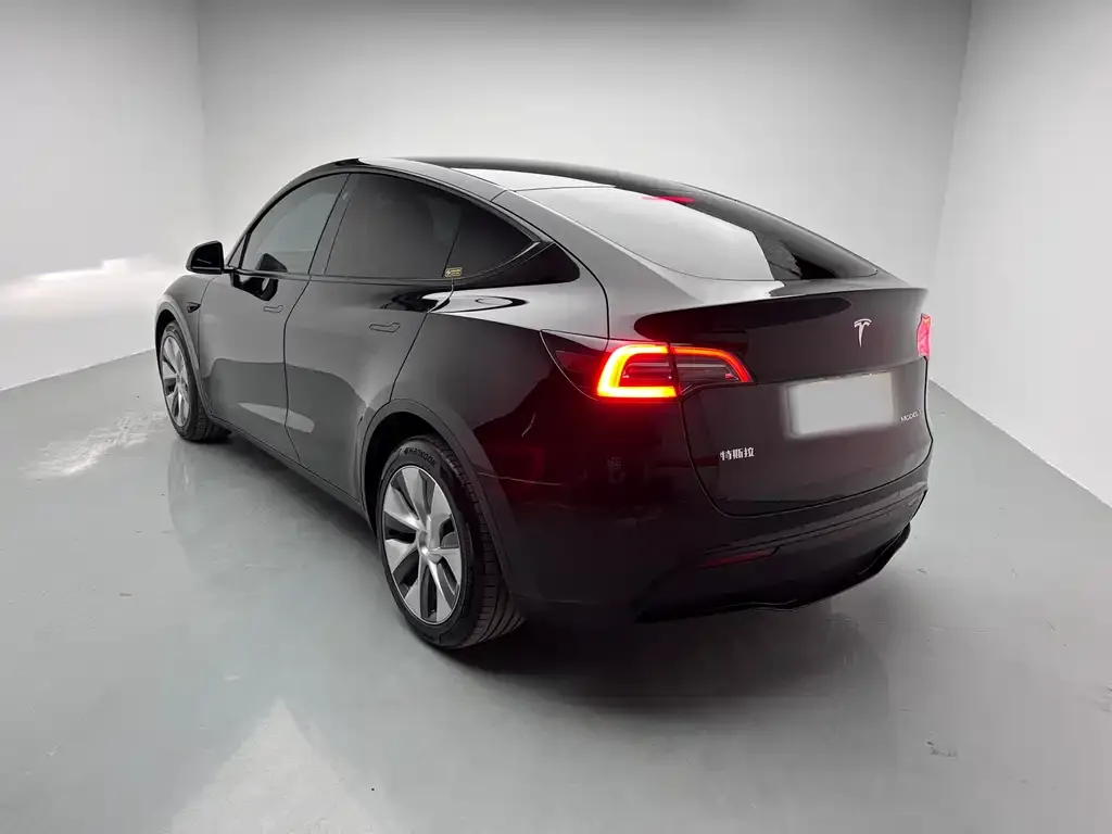 Tesla Model Y 2021 из CN, фото 9