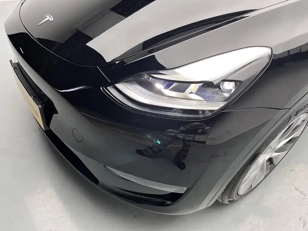 Tesla Model Y 2021 из CN, фото 6