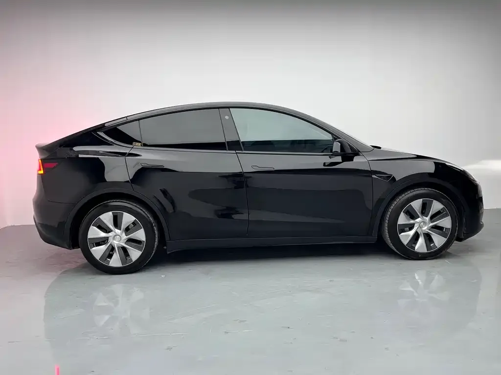 Tesla Model Y 2021 из CN, фото 7